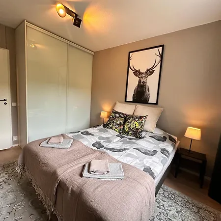 Arctic Winter * 로바니에미