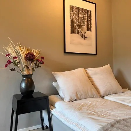 Arctic Winter 로바니에미