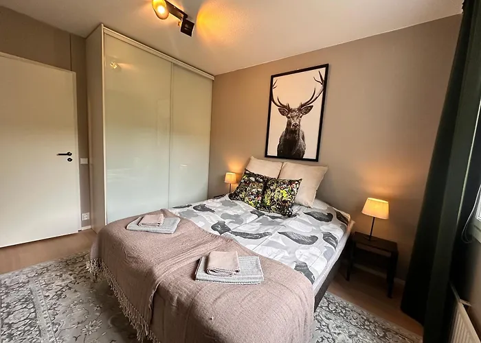 Arctic Winter * 로바니에미