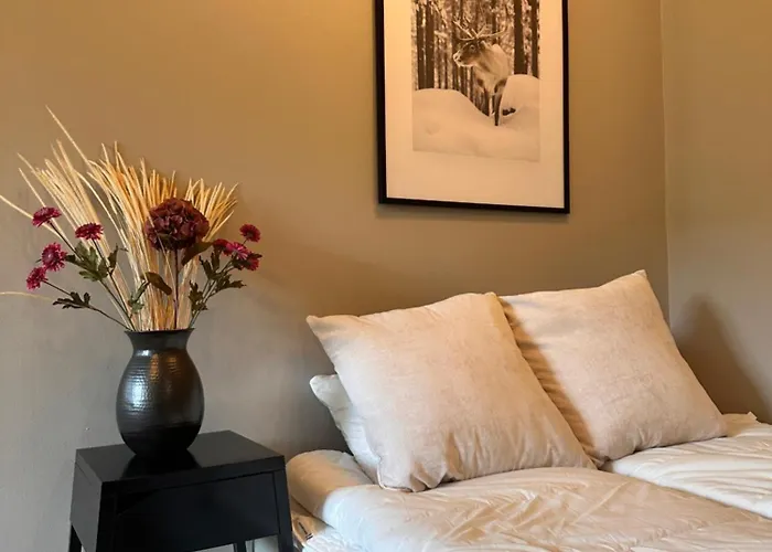 Arctic Winter 로바니에미